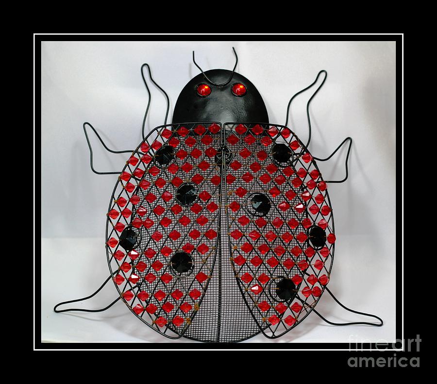 Lady Bug Beetle - Decoration - Border Photograph by Barbara A Griffin