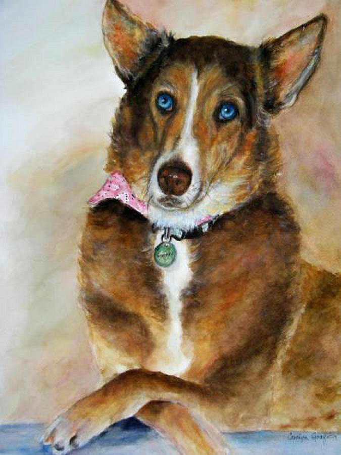Siberian Husky Portrait - Always A Lady Painting