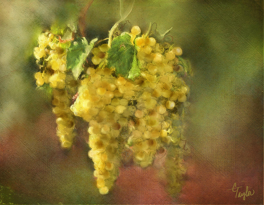 Grape Painting - Lady Chardonnay by Colleen Taylor