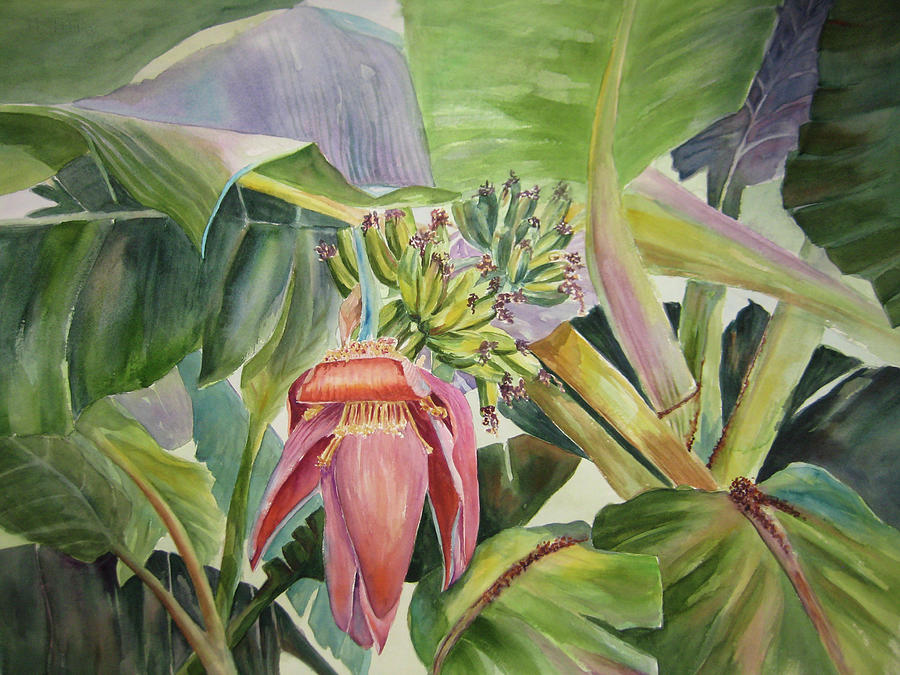 Lady Fingers - Banana Tree Painting by Roxanne Tobaison