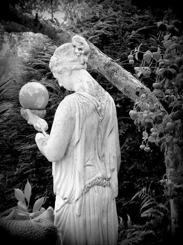 Lady Grace Photograph by Dancingfire Brenda Morrell Fine Art America