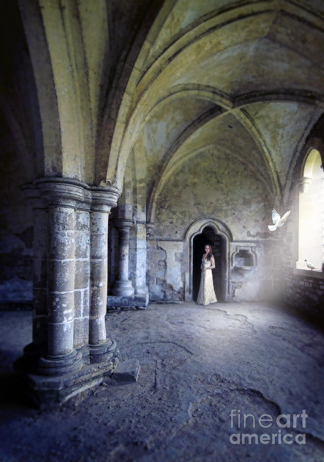 Castle Photograph - Lady in Abbey Room with Doves by Jill Battaglia