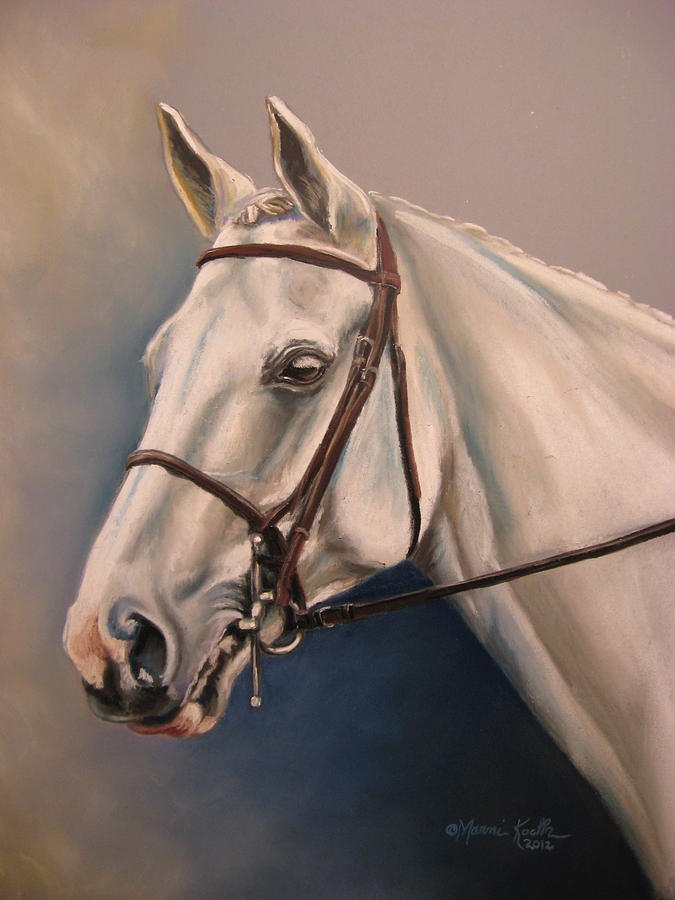Horse Drawing - Lady in Grey by Marni Koelln
