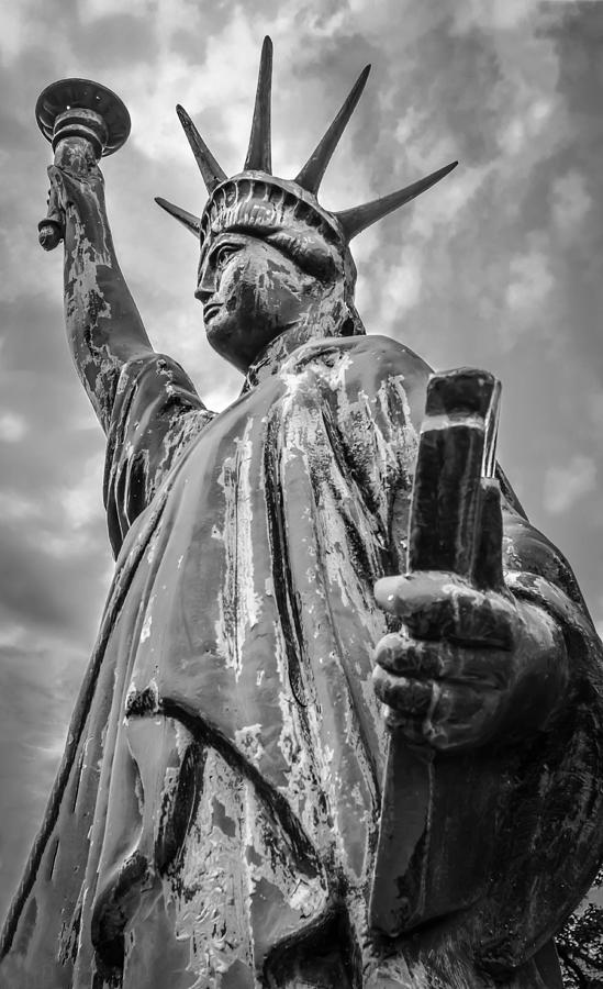 Lady Liberty Photograph by Brian Stevens