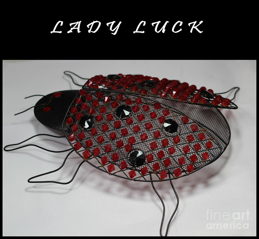 Lady Luck - Lady Bug Beetle - Decoration Photograph by Barbara A Griffin