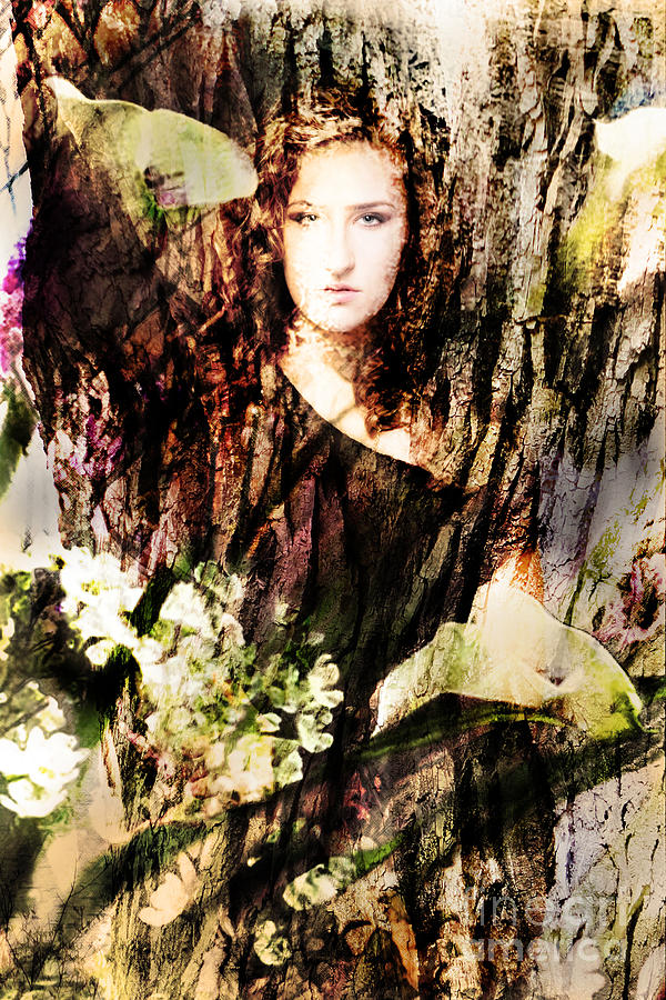 Lady of bark by Alessandra Di Noto Lady of bark by Alessandra Di Noto