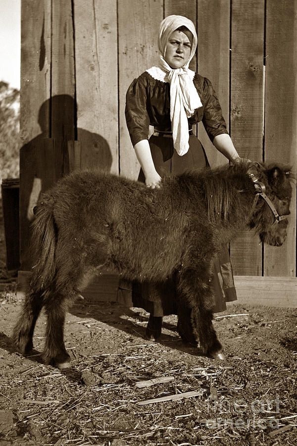 Lady Photograph - Lady with her pony circa 1910 by Monterey County Historical Society