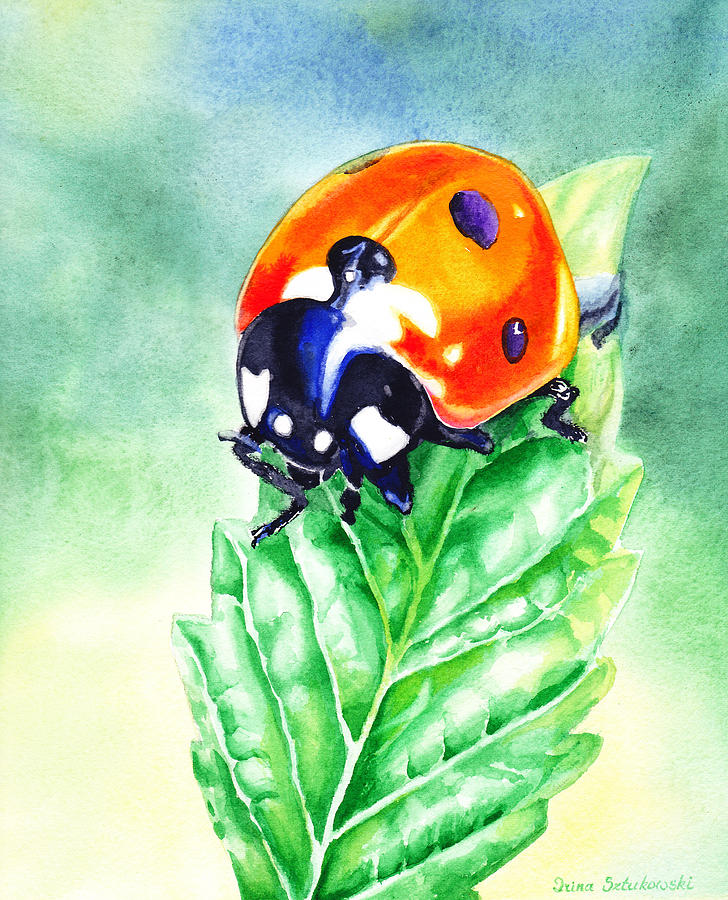 Ladybug Painting - Ladybug Ladybug Where Is Your Home by Irina Sztukowski