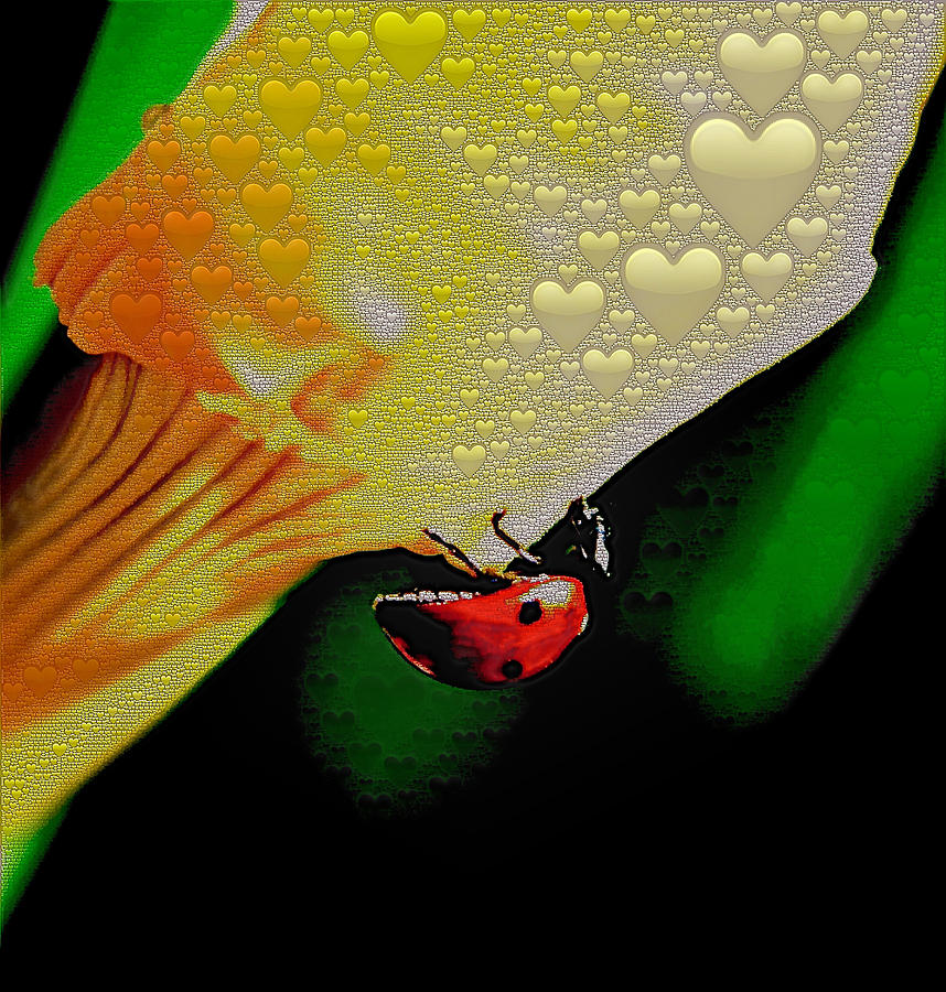 Ladybug Love Photograph by Bill Owen