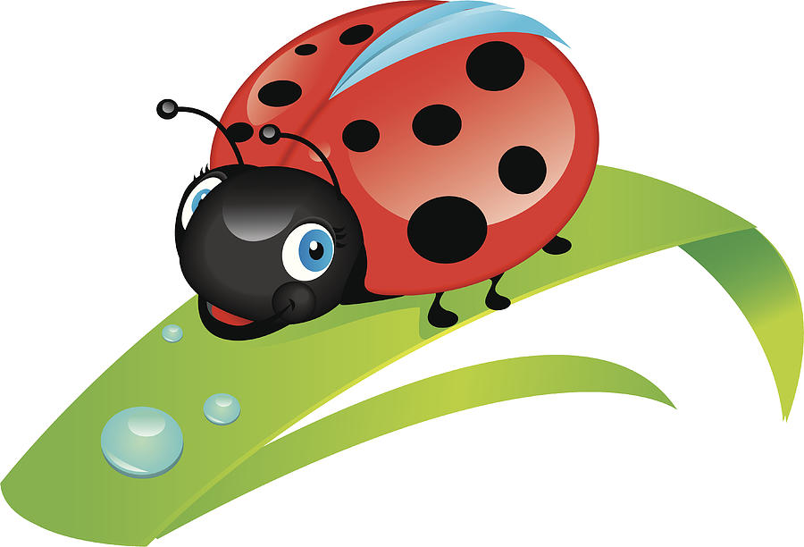 Ladybug Drawing by magaliB