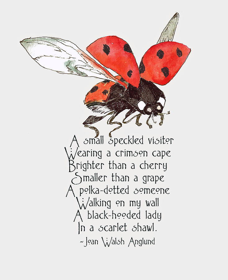 Ladybug Painting by Maureen Moore