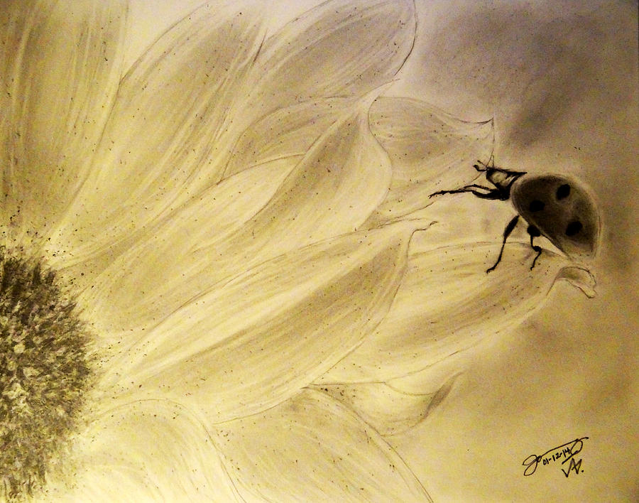Ladybug Drawing - Ladybug on a Sunflower by Jose A Gonzalez Jr