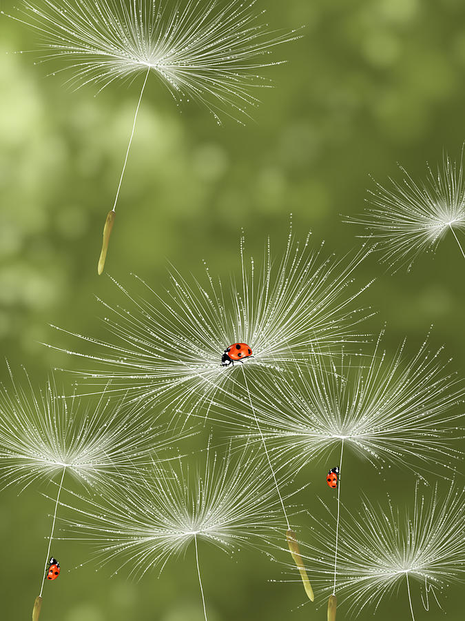 Spring Painting - Ladybug by Veronica Minozzi