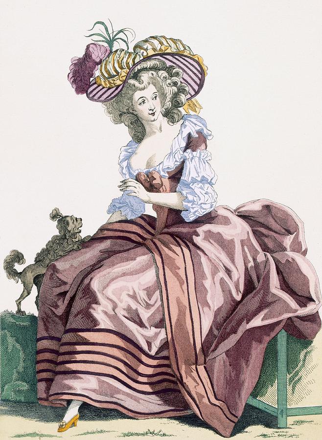 Dog Drawing - Ladys Elegant Caramel Coloured Satin by Francois Louis Joseph Watteau