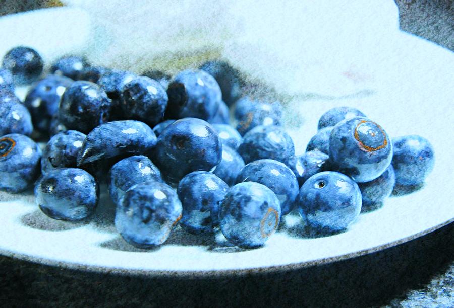 Blueberry Photograph - Ladys Got the Blues by Diana Angstadt