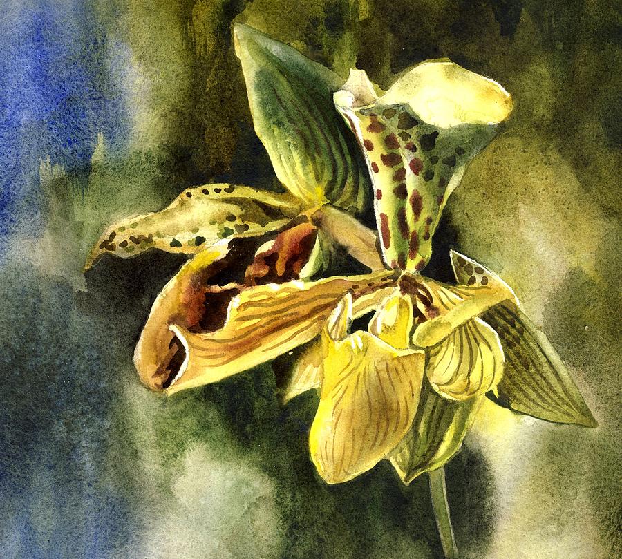Ladyslipper Orchid Watercolor Painting by Alfred Ng