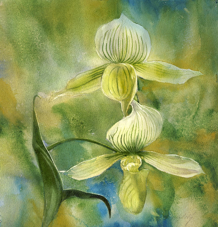 Ladyslipper Orchid With Blues Painting by Alfred Ng