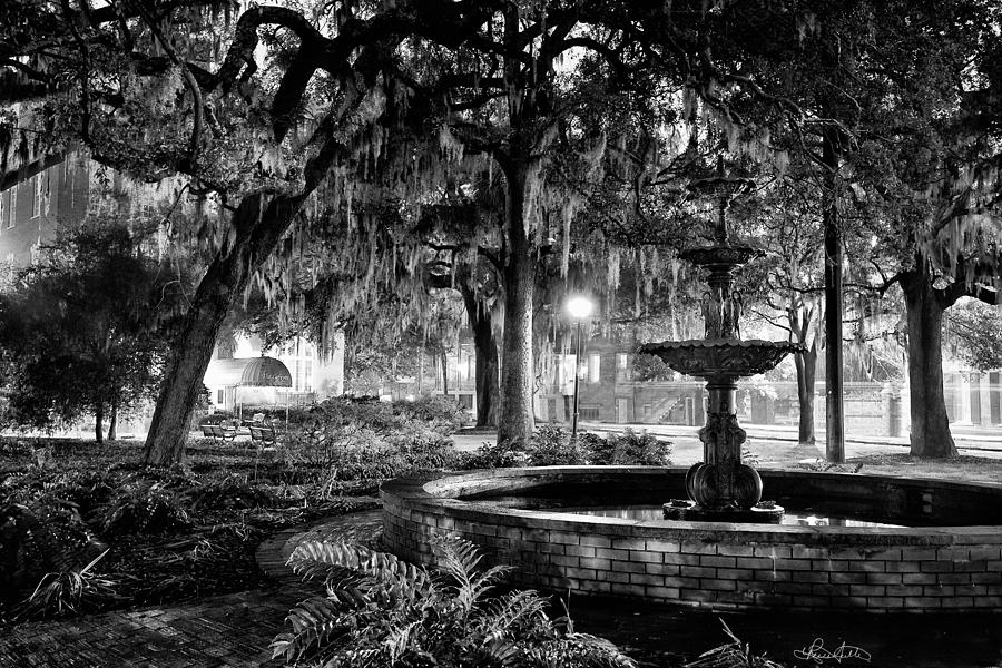 Tree Photograph - Lafayette Square by Renee Sullivan