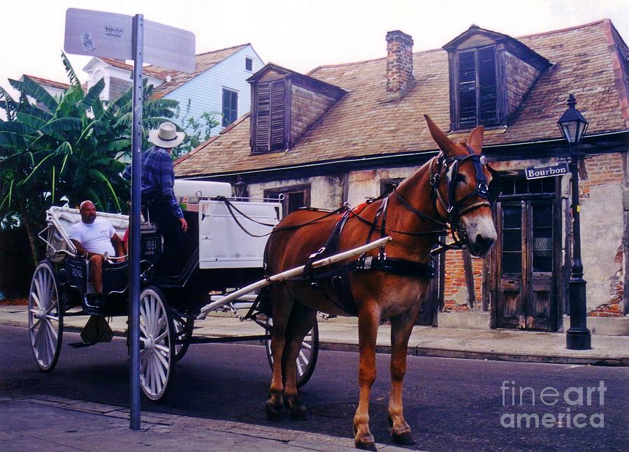 Horse Photograph - Lafittes Blacksmith Shop Bar by John Malone