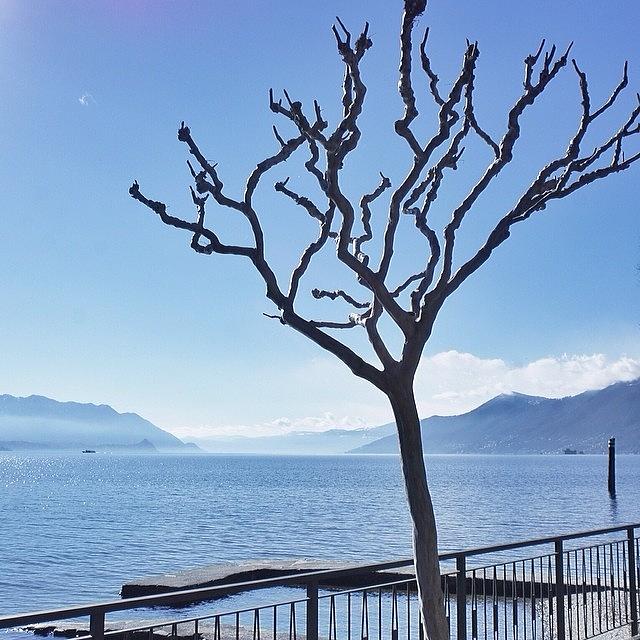 Beautiful Photograph - Lago Maggiore, Italy #photo #pic by Sasha Dejbakhsh