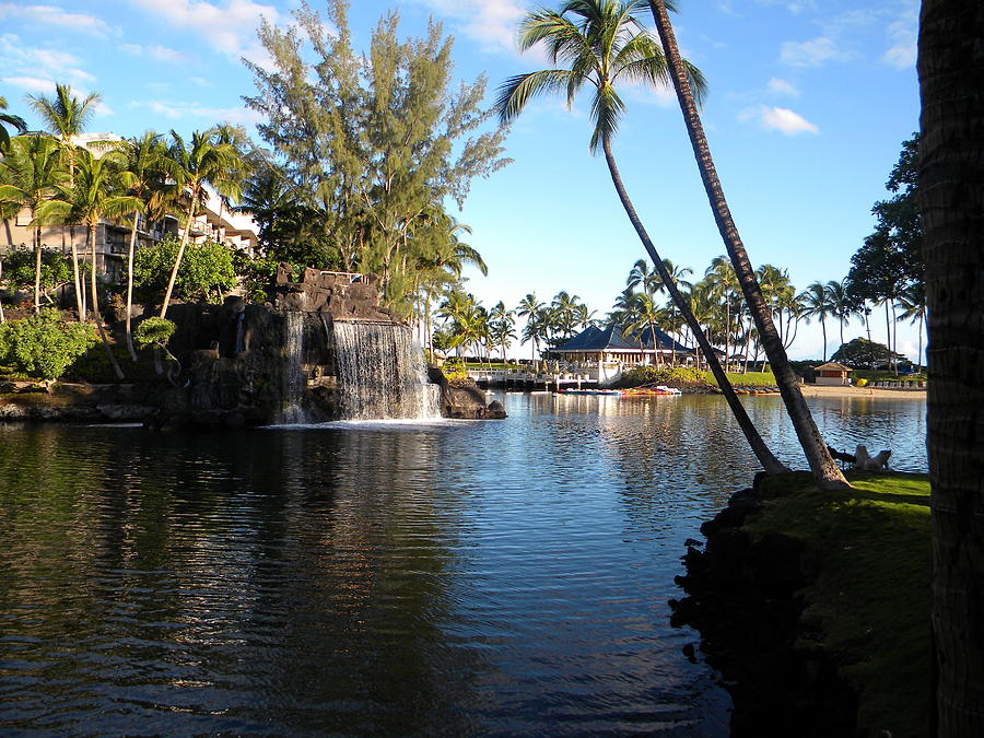 Lagoon of Hilton Waikoloa Photograph by Eric Johansen