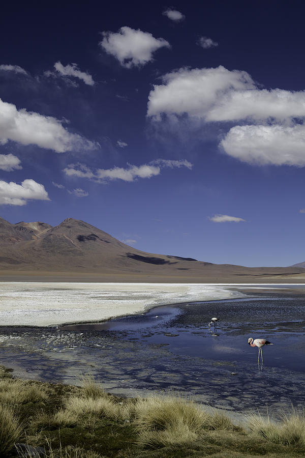 lagoon or lake in Andes Bolivia Photograph by Dirk Ercken