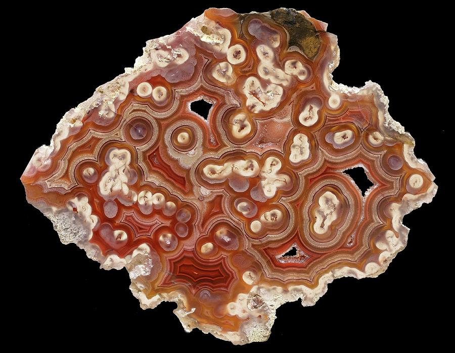 Laguna Agate Photograph by Natural History Museum, London/science Photo Library