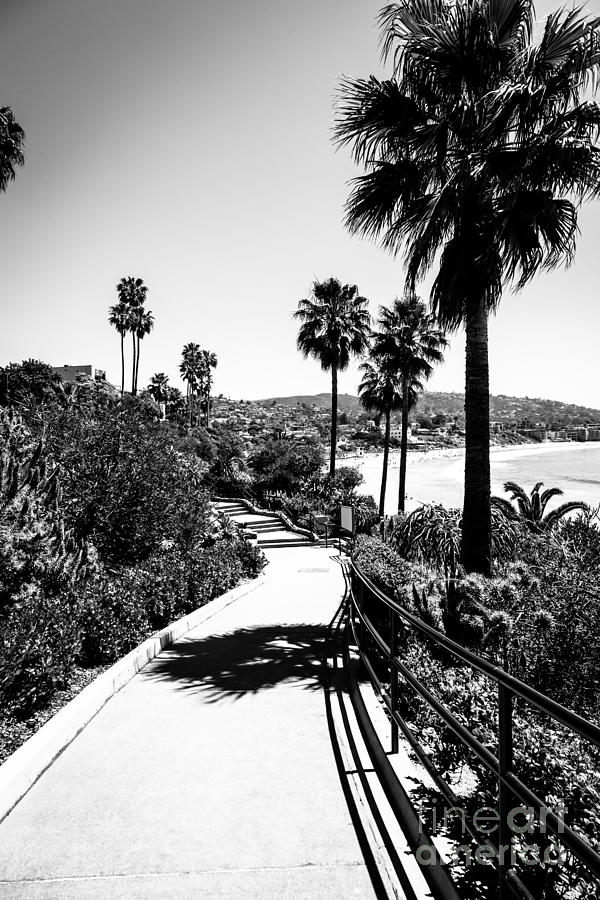 Beach Photograph - Laguna Beach Heisler Park in Black and White by Paul Velgos
