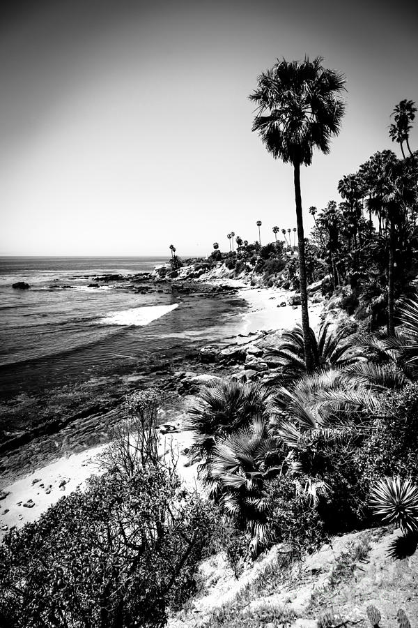 Laguna Beach Pacific Ocean Shoreline in Black and White Photograph by Paul Velgos