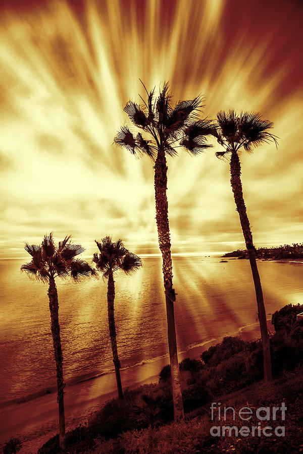 Laguna Beach Sunset Photograph by Linda Matlow