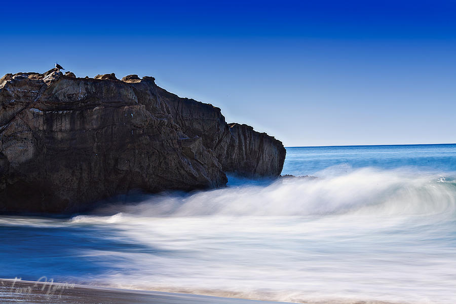 Laguna Beach Rock Photograph by Terry Nguyen