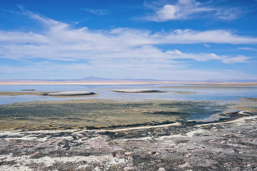 Laguna Chaxa Outside Of San Pedro De Photograph by Blake Burton - Fine ...