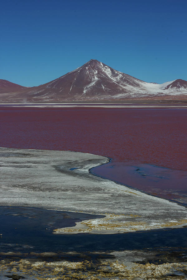 Laguna Colorada Bolivia Photograph by Ocelyn
