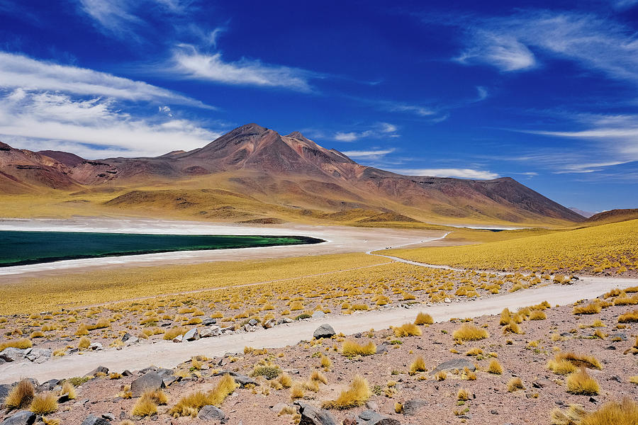 Laguna Miscanti In Atacama Desert, Chile Photograph by Blake Burton ...