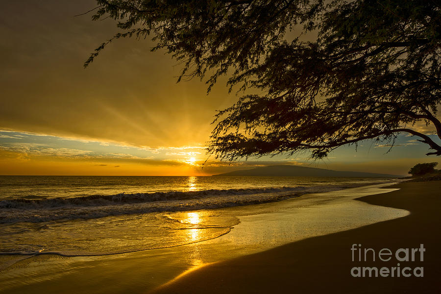 Sunset Photograph - Lahaina Sun Burst by Jamie Pham