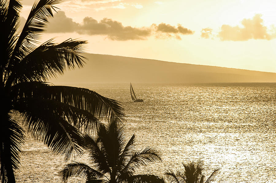 Lahaina Sunset 1 Photograph by Al Andersen