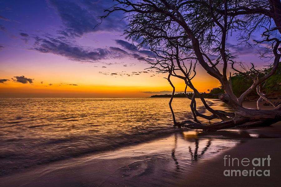 Sunset Photograph - Lahaina Twilight by Jamie Pham