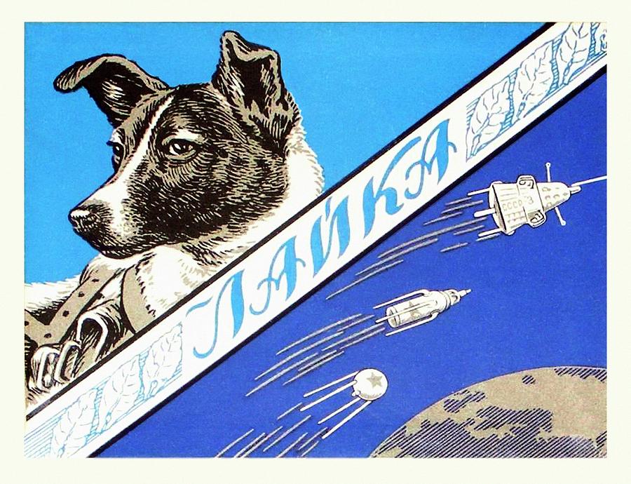 Laika Space Dog Commemorative Packaging. 