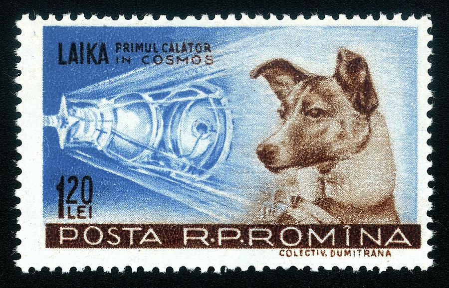 Animal Photograph - Laika Space Dog Commemorative Stamp by Detlev Van Ravenswaay