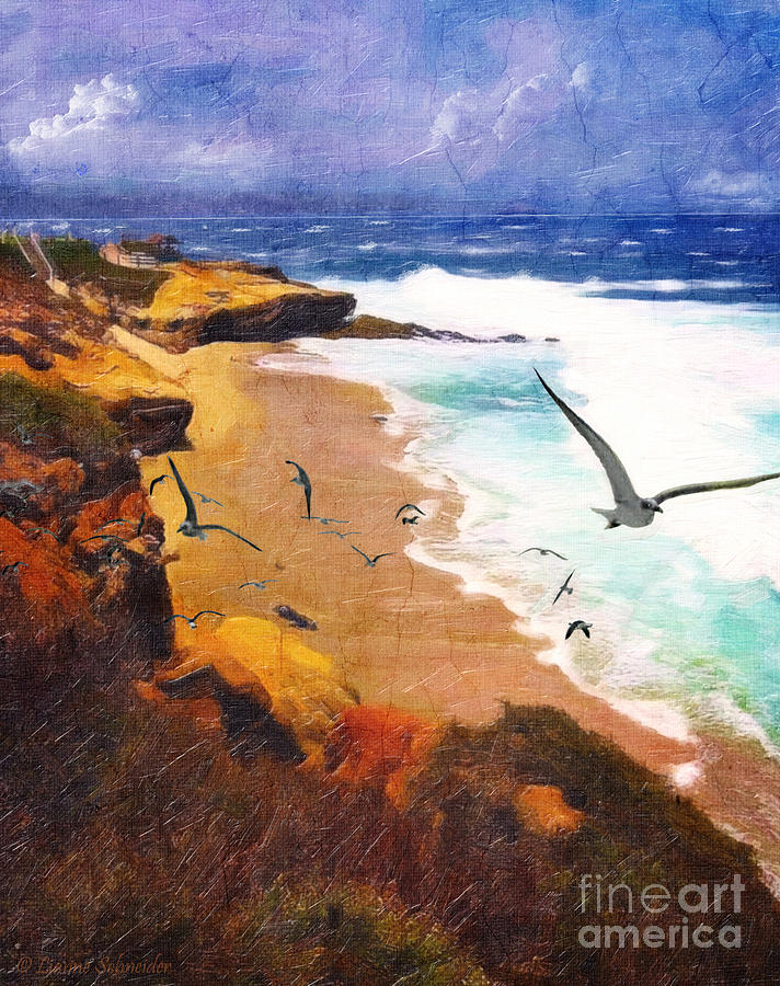 Seagull Digital Art - LaJolla Afternoon by Lianne Schneider