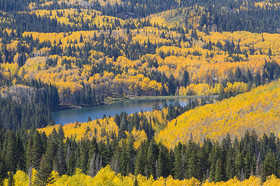 Lake 2 on Grand Mesa Photograph by Lowell Monke - Fine Art America