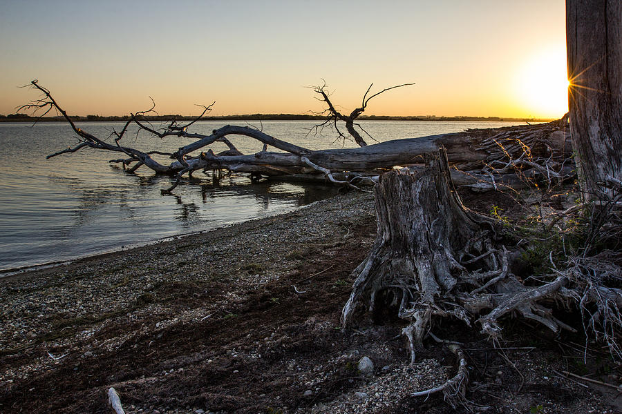 Lake Alice Sunset Photograph by Aaron J Groen