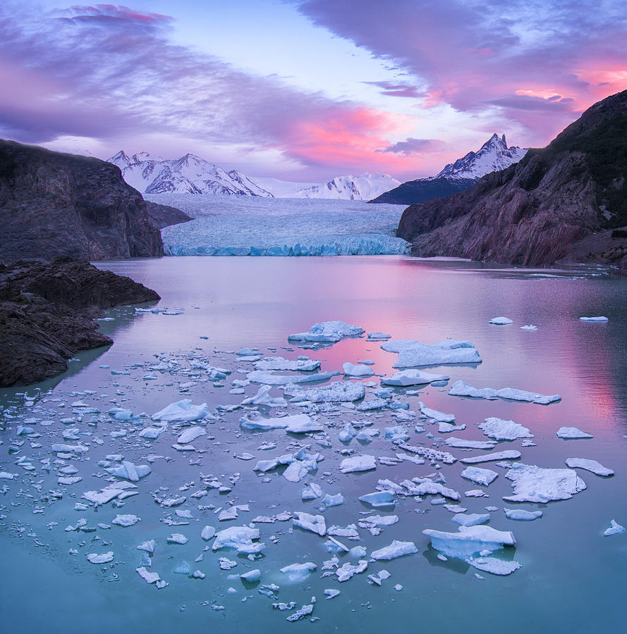 Lake And Glaciar Grey In Torres Del Photograph by Ignacio Palacios