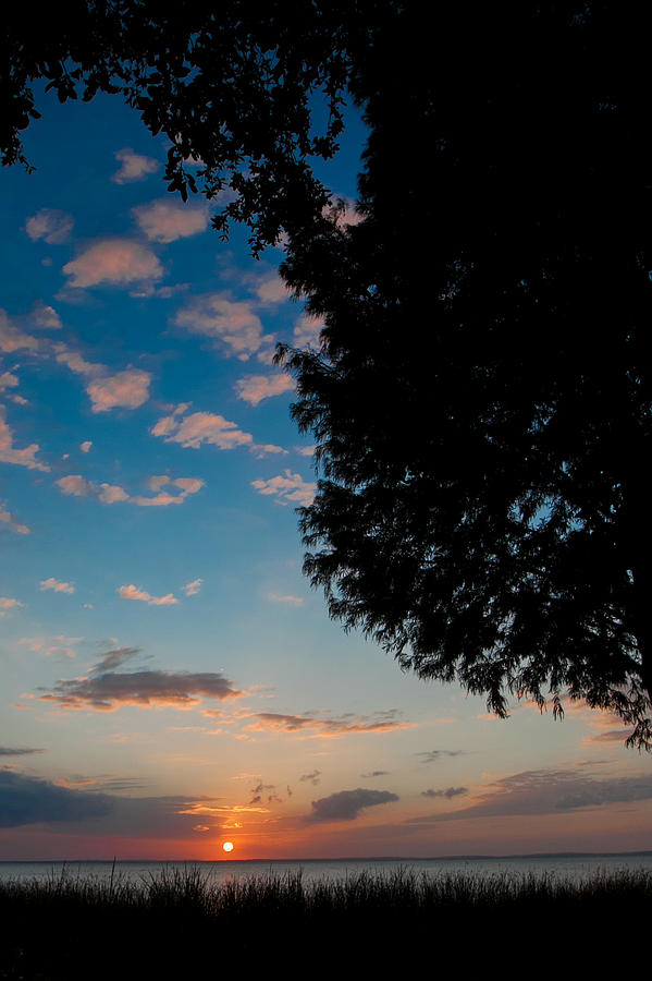 Lake Apopka Sunset Photograph by W Chris Fooshee
