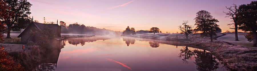 Tree Photograph - Lake at Dawn Panorama - Ireland by Barry O Carroll