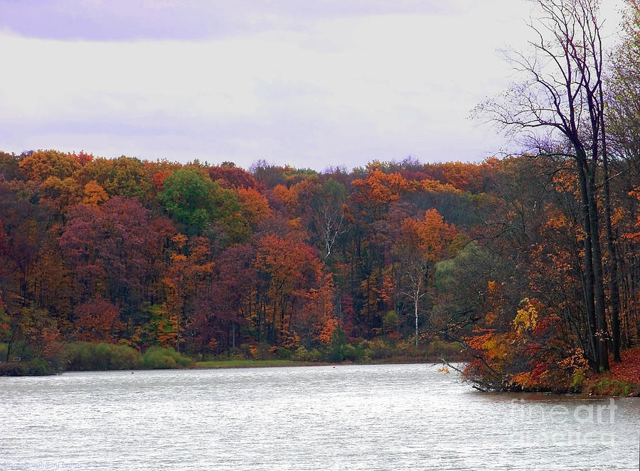 Fall Photograph - Lake at Hinckley Reservation 2 by Gena Weiser