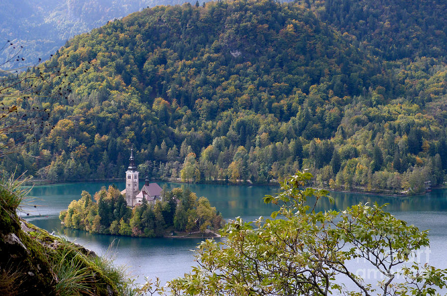 Lake Bled Island - Slovenia Photograph by Phil Banks
