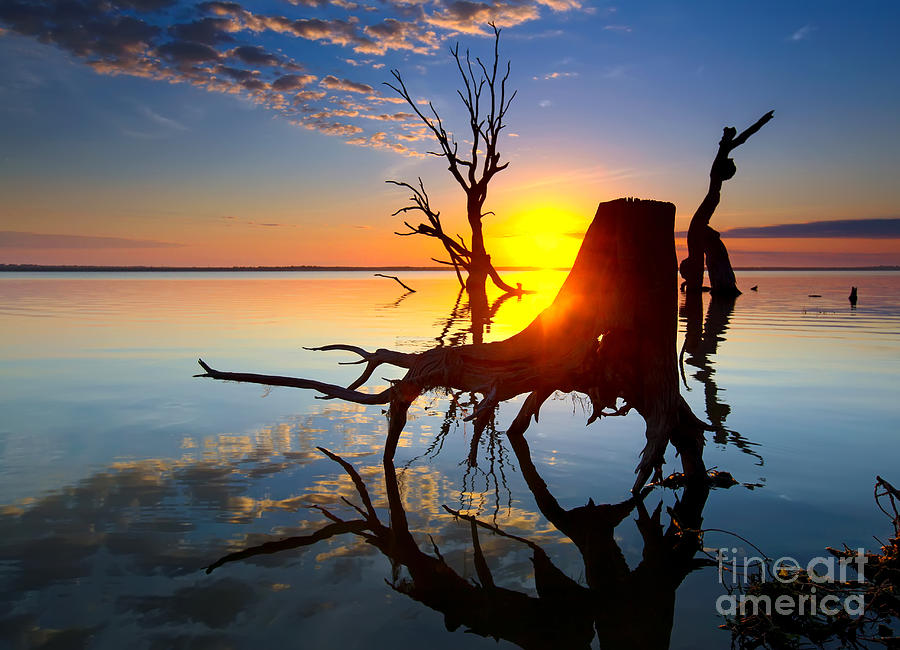 Lake Bonney Sunrise Photograph by Bill  Robinson