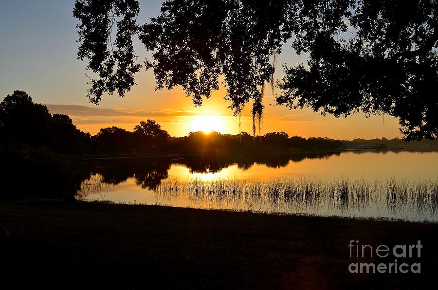 Lake Bonny Sunrise II Photograph by Carol  Bradley