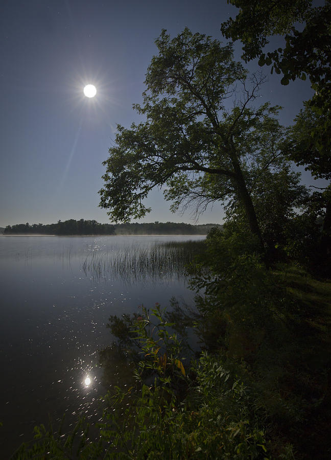 Lake by moonlight Photograph by Gary Eason